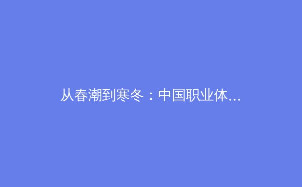 从春潮到寒冬：中国职业体育的资本迷思与价值重构 - 2